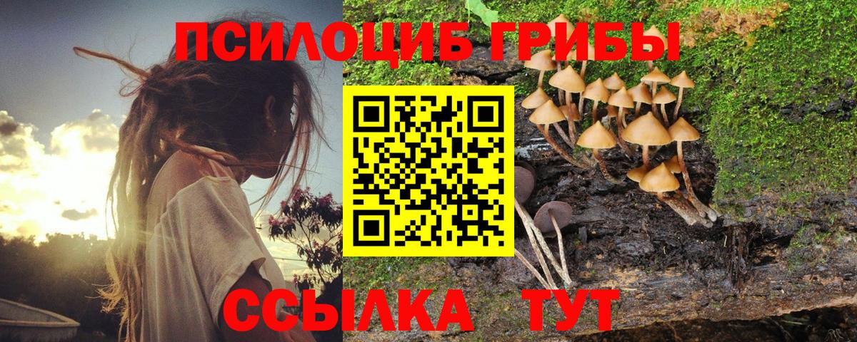 Псилоцибиновые грибы мухоморы Верхняя Пышма
